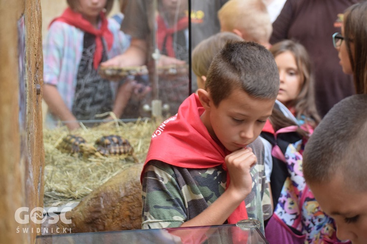 II turnus "Wakacji z Bogiem" w Zagórzu Śląskim