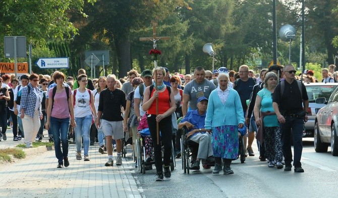 Od wczesnego rana pielgrzymi są w drodze do Wąwolnicy