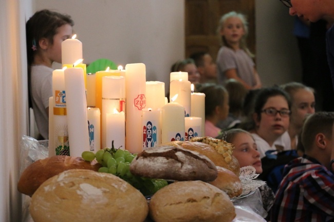 Pielgrzymka Służby Liturgicznej i Ruchu Światło-Życie