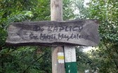 Ślubowana Msza na Magdalence