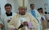 Kard. Stanisław Dziwisz na uroczystościach w Wąwolnicy