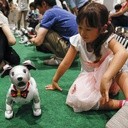 Aibo – robotyczny pies 