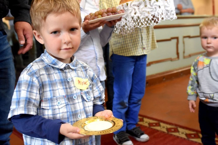 Pielgrzymka Ruchu Światło-Życie do Wir