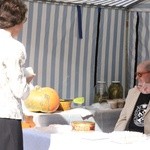 Piknik dominikański