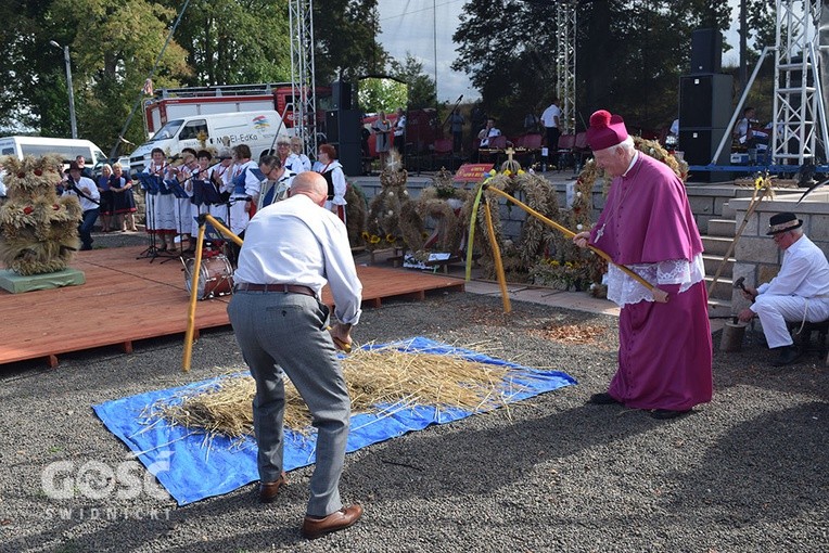 bp Ignacy Dec i Jan Bednarczyk młócący zboże.