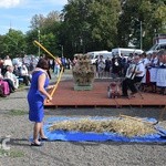 Diecezjalne Dożynki w Wambierzycach