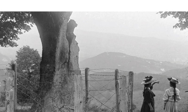 Adrian Sinkowski "Atropina". Biblioteka Toposu, Sopot 2018 ss. 72