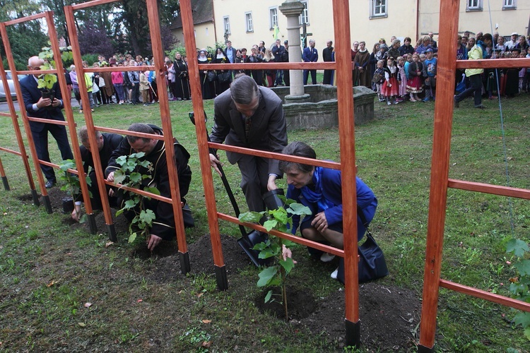 Lubomierz i św. Maternus