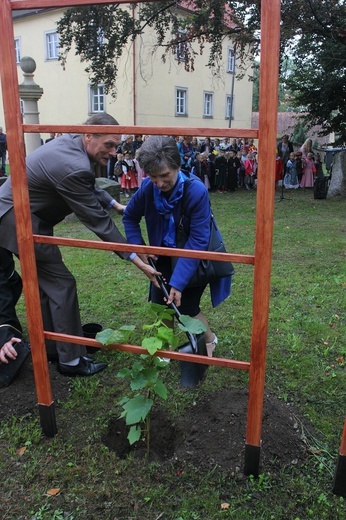 Lubomierz i św. Maternus