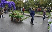 Skierniewickie Święto Kwiatów, Owoców i Warzyw - parada, cz. 1