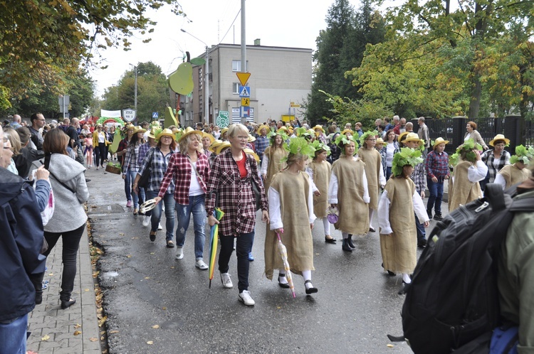 Skierniewickie Święto Kwiatów, Owoców i Warzyw - parada, cz. 1