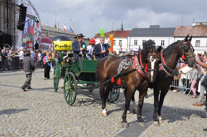 Skierniewickie Święto Kwiatów, Owoców i Warzyw - parada, cz. 1