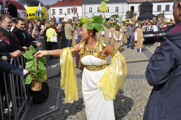 Skierniewickie Święto Kwiatów, Owoców i Warzyw - parada, cz. 1