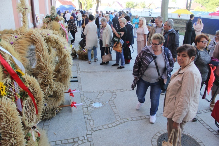 Diecezjalna Pielgrzymka do Skrzatusza, cz. 2