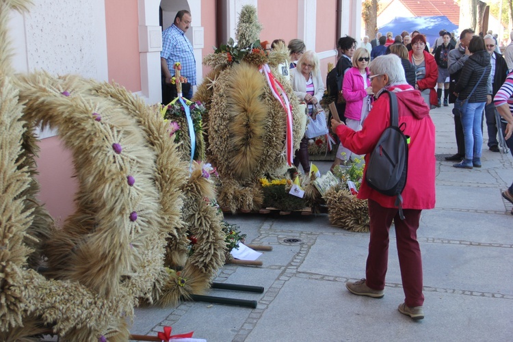 Diecezjalna Pielgrzymka do Skrzatusza, cz. 2