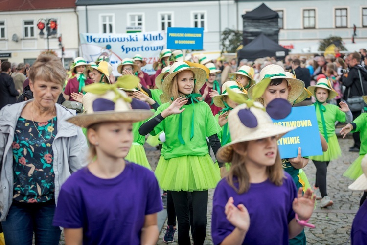 Skierniewickie Święto Kwiatów, Owoców i Warzyw - parada, cz. 2