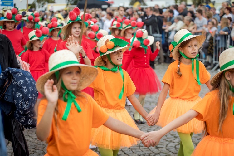 Skierniewickie Święto Kwiatów, Owoców i Warzyw - parada, cz. 2