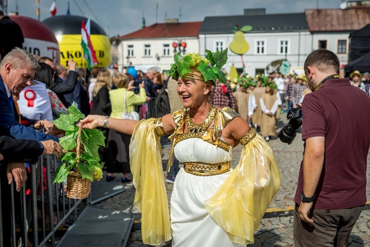 Skierniewickie Święto Kwiatów, Owoców i Warzyw - parada, cz. 2