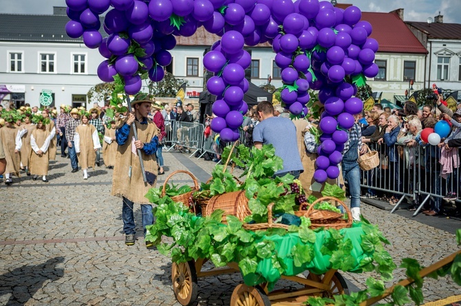 Skierniewickie Święto Kwiatów, Owoców i Warzyw - parada, cz. 2