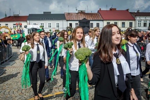 Skierniewickie Święto Kwiatów, Owoców i Warzyw - parada, cz. 2