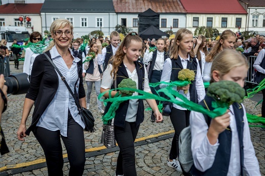 Skierniewickie Święto Kwiatów, Owoców i Warzyw - parada, cz. 2