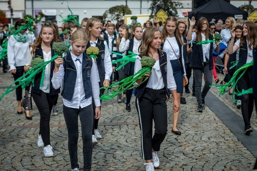 Skierniewickie Święto Kwiatów, Owoców i Warzyw - parada, cz. 2