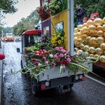 Skierniewickie Święto Kwiatów, Owoców i Warzyw - parada, cz. 2