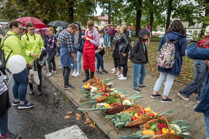 Skierniewickie Święto Kwiatów, Owoców i Warzyw - parada, cz. 2