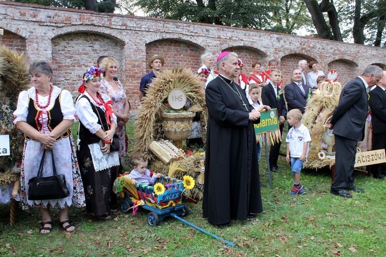 Dożynki diecezjalne w Rudach