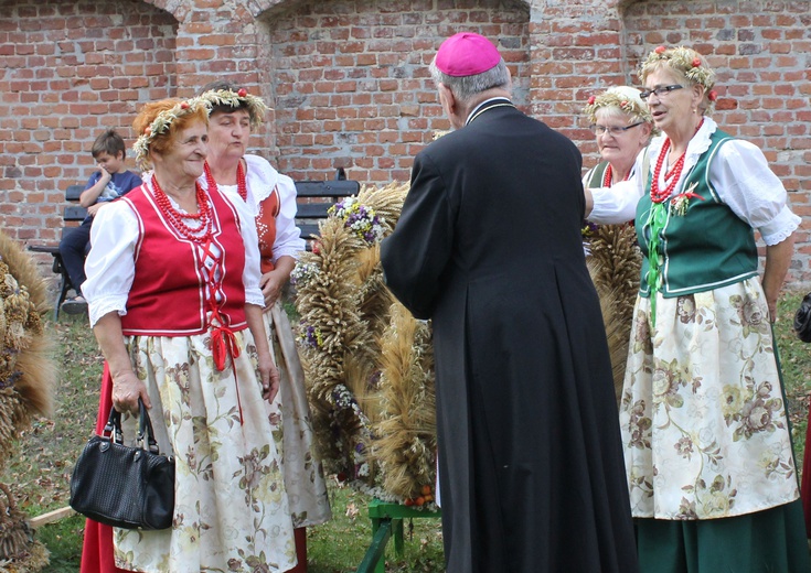 Dożynki diecezjalne w Rudach