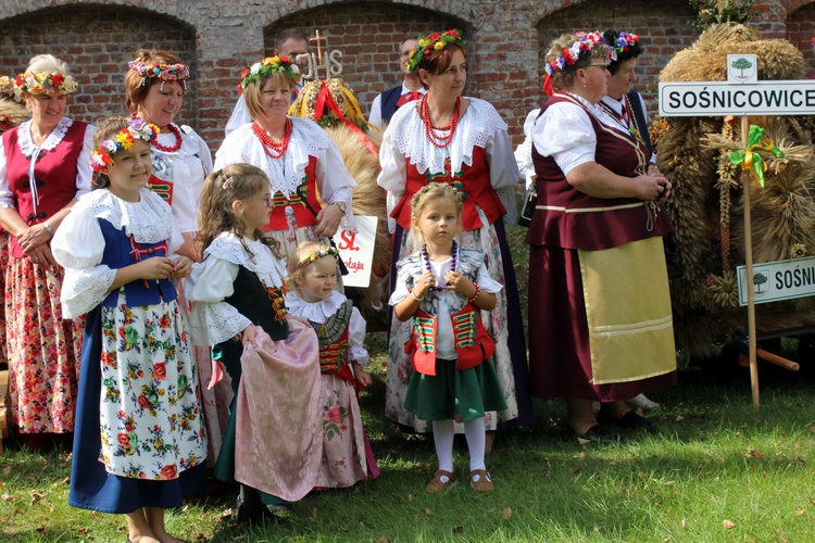 Dożynki diecezjalne w Rudach