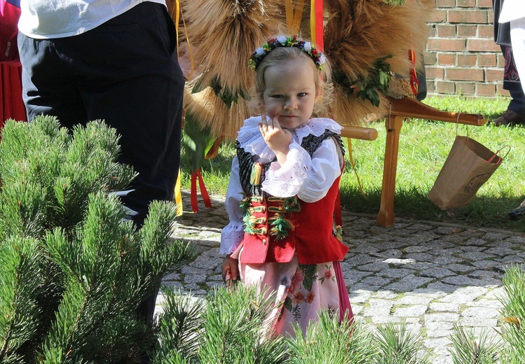 Dożynki diecezjalne w Rudach