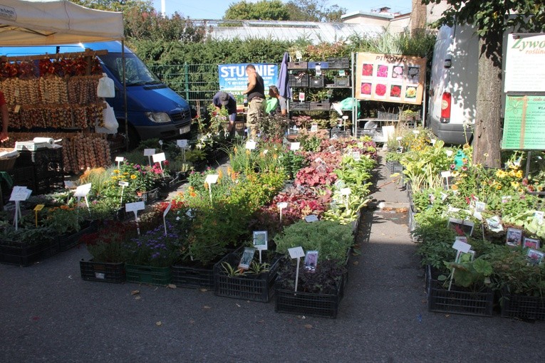 Skierniewickie Święto Kwiatów, Owoców i Warzyw - kiermasze i wystawy 