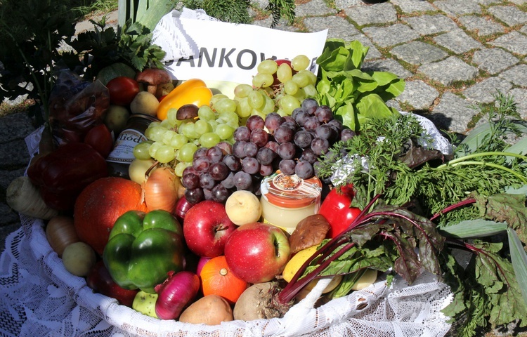 Dożynki diecezjalne w Rudach