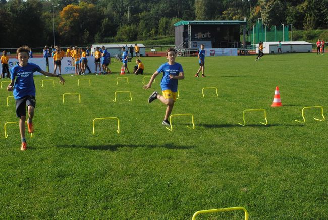 Lekkoatletyka w Stalowej Woli