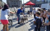 Inauguracja kampani „Zapuść żurawia"