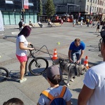 Inauguracja kampani „Zapuść żurawia"