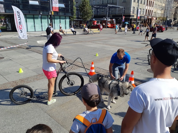 Inauguracja kampani „Zapuść żurawia"