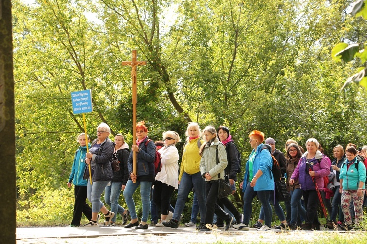 Pielgrzymka katechetów i nauczycieli