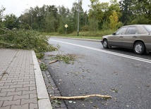 Połamane drzewa, lekko ranne dziecko