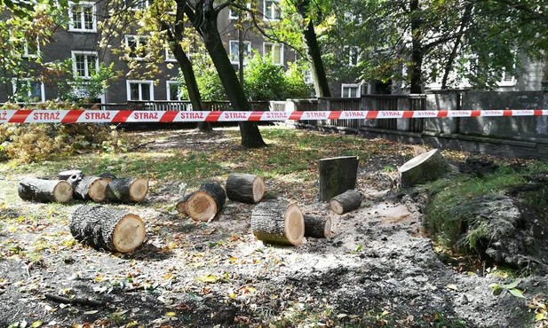 Usuwanie skutków nawałnicy w województwie śląskim