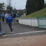 Memoriał w Rudniku nad Sanem