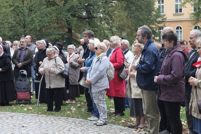 Koronka na ulicach miast