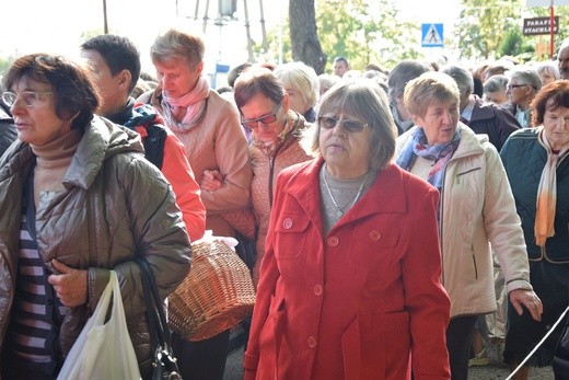 Diecezjalna Pielgrzymka Kół Żywego Różańca