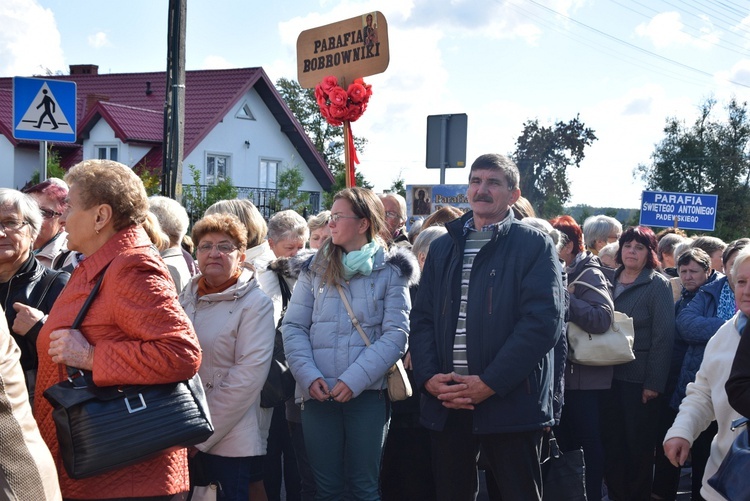 Diecezjalna Pielgrzymka Kół Żywego Różańca