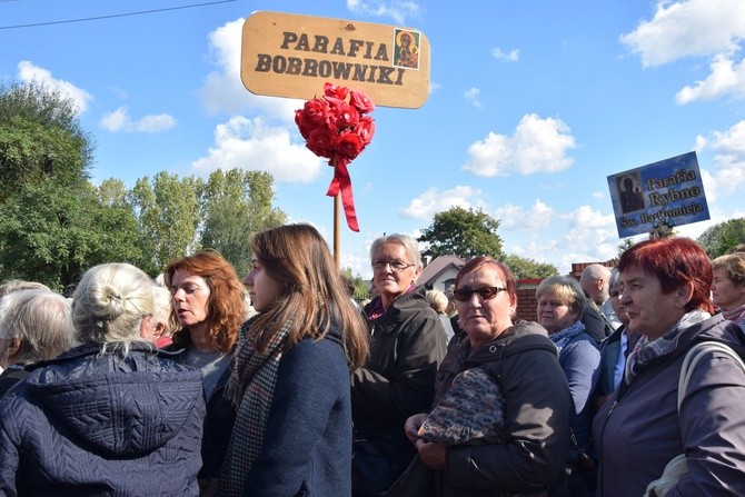 Diecezjalna Pielgrzymka Kół Żywego Różańca