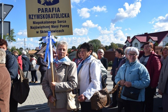 Diecezjalna Pielgrzymka Kół Żywego Różańca