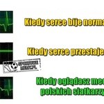 Memy po obronie tytułu mistrzów świata w siatkówce