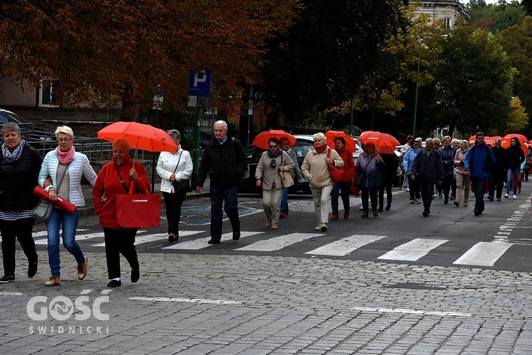 Seniorada Kulturalna 2018