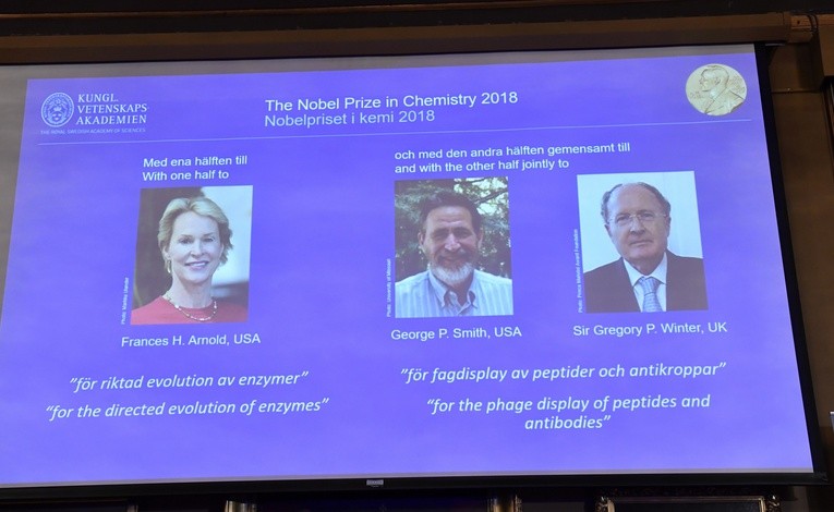 Nobel z chemii za kierowaną ewolucję białek